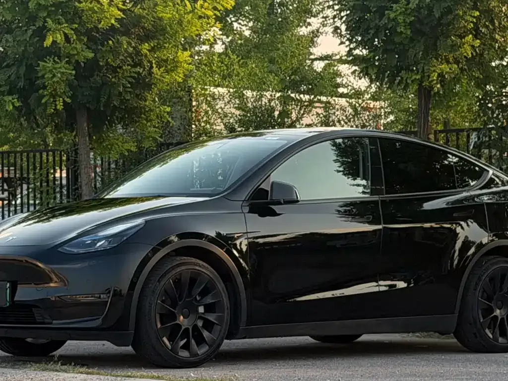Tesla Model Y — фото 8