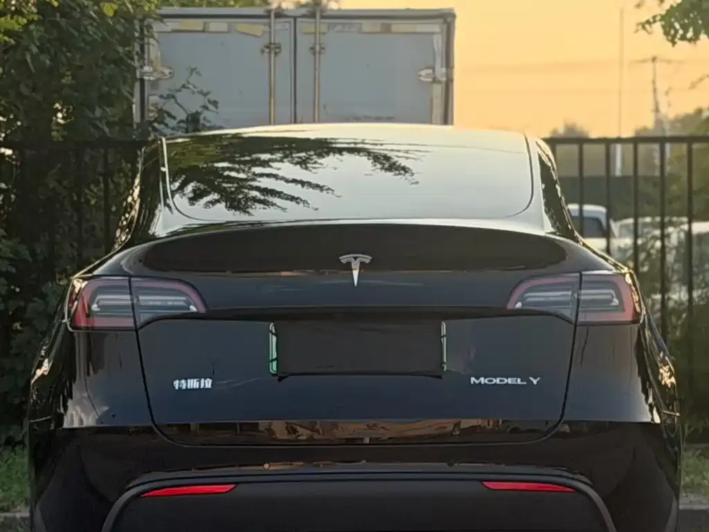 Tesla Model Y — фото 10