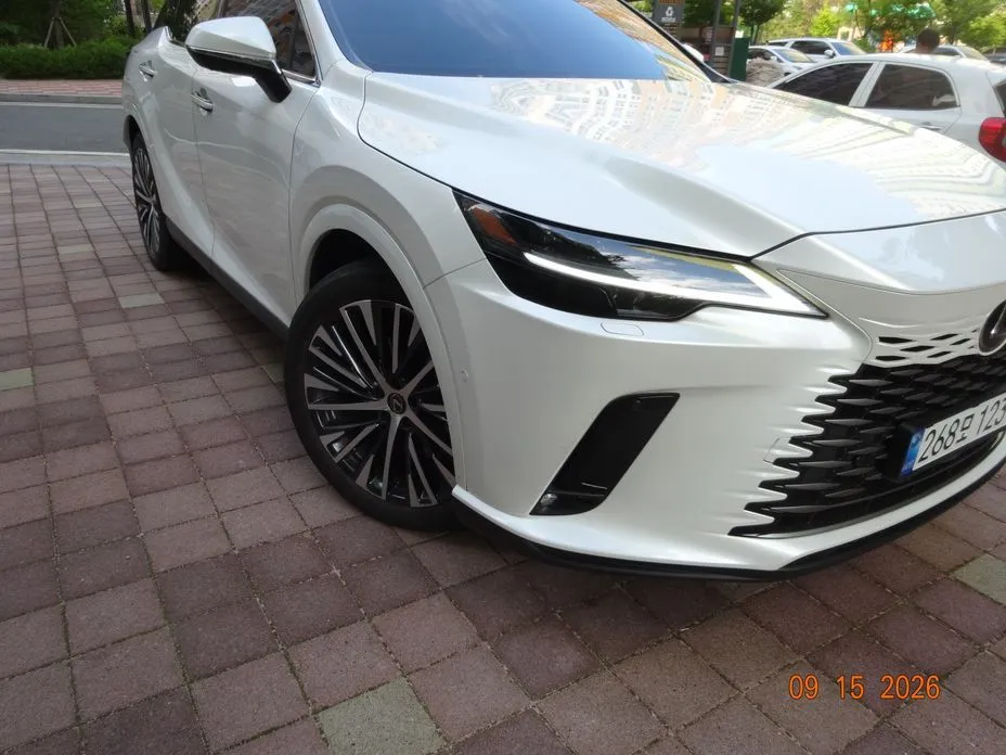 Lexus RX — фото 10
