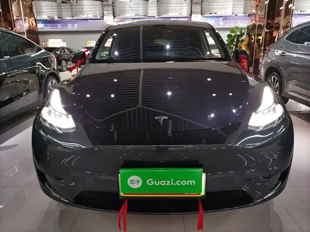 Tesla Model Y — фото 8