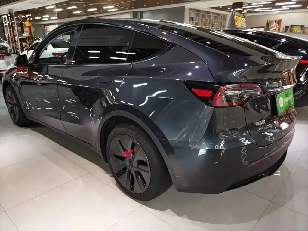 Tesla Model Y — фото 3