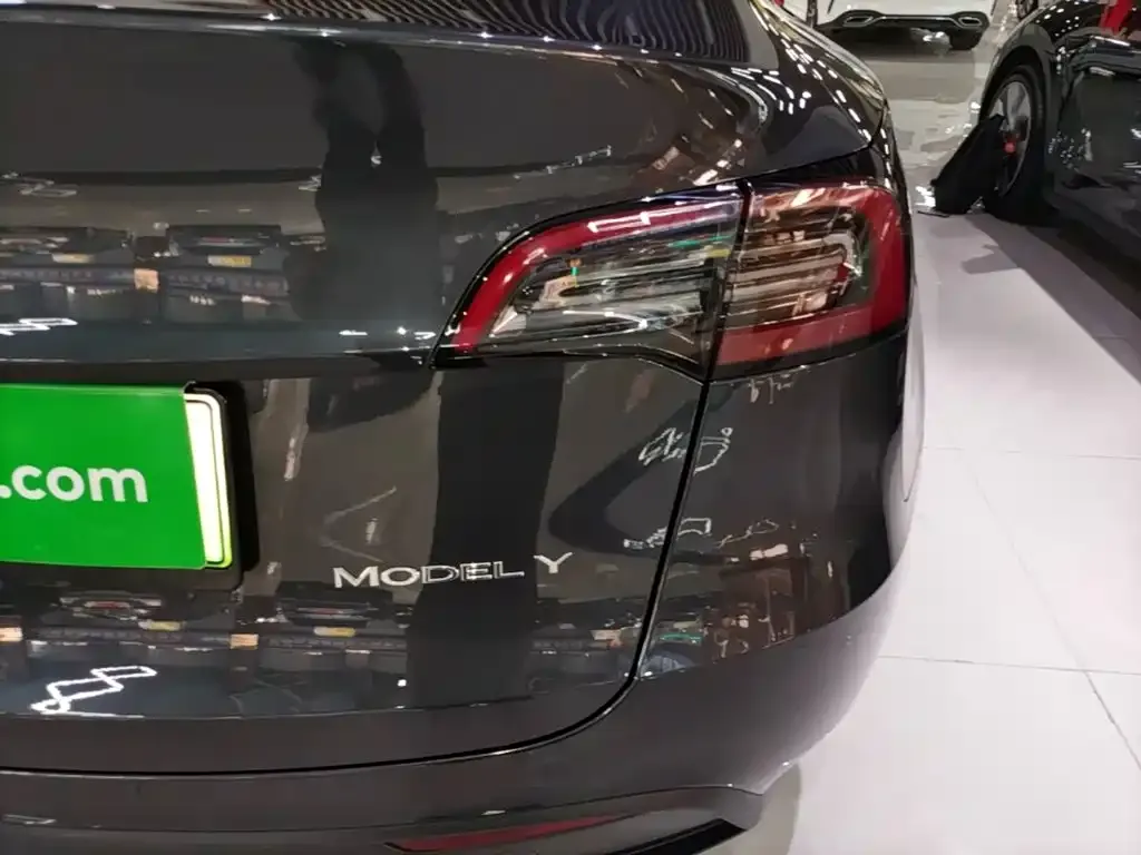 Tesla Model Y — фото 2
