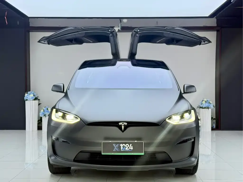 Tesla Model X — фото 6