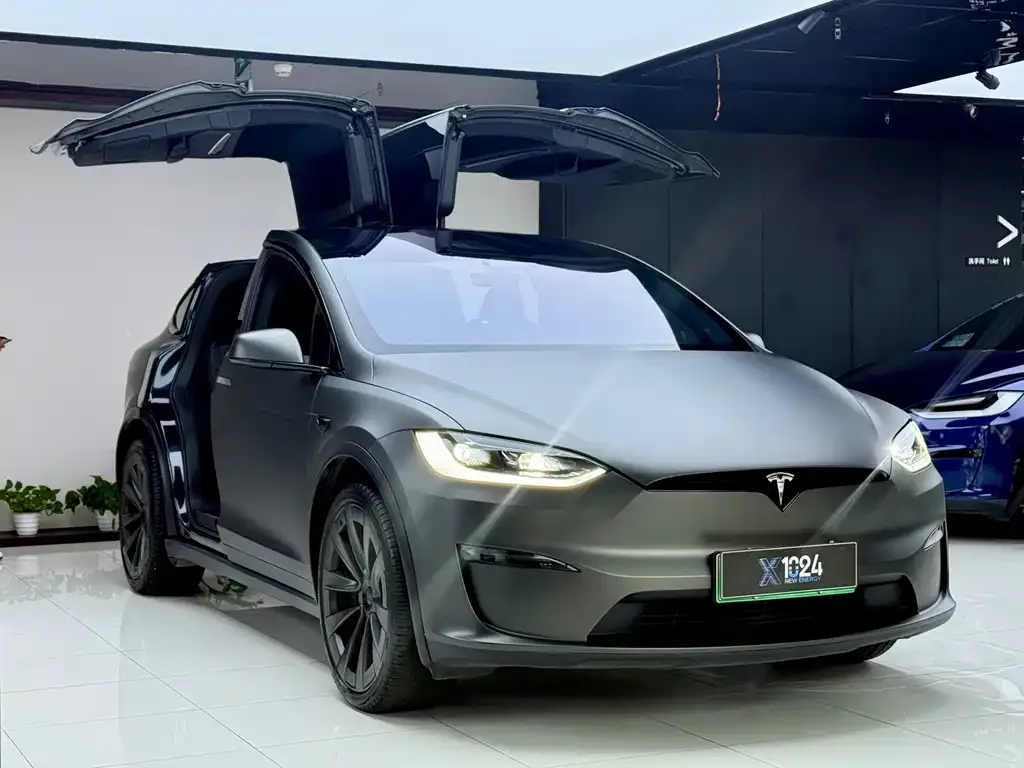 Tesla Model X — фото 10