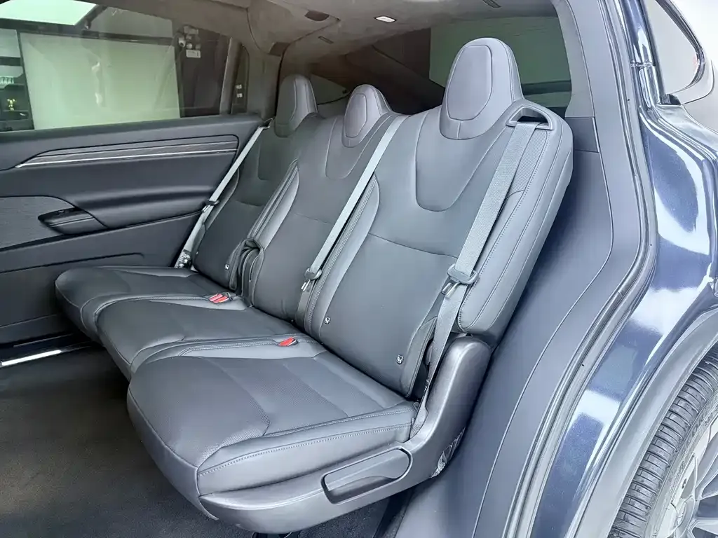 Tesla Model X — фото 8