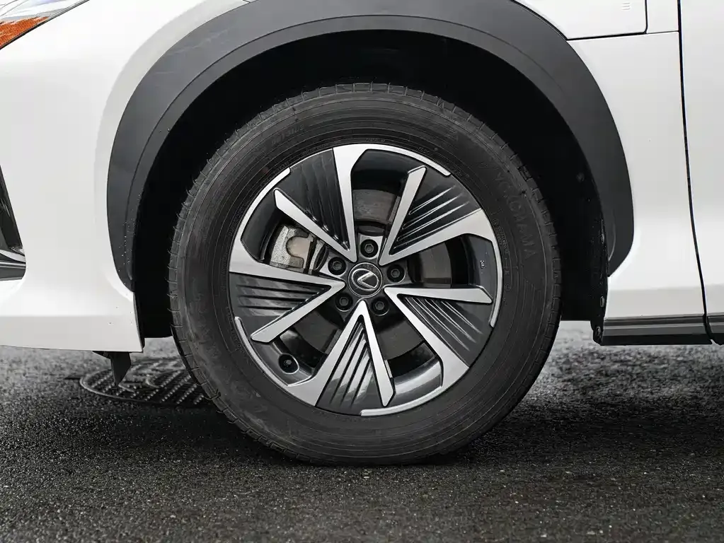 Lexus RZ — фото 10