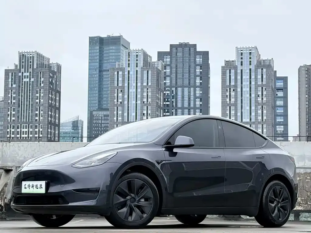Tesla Model Y — фото 1