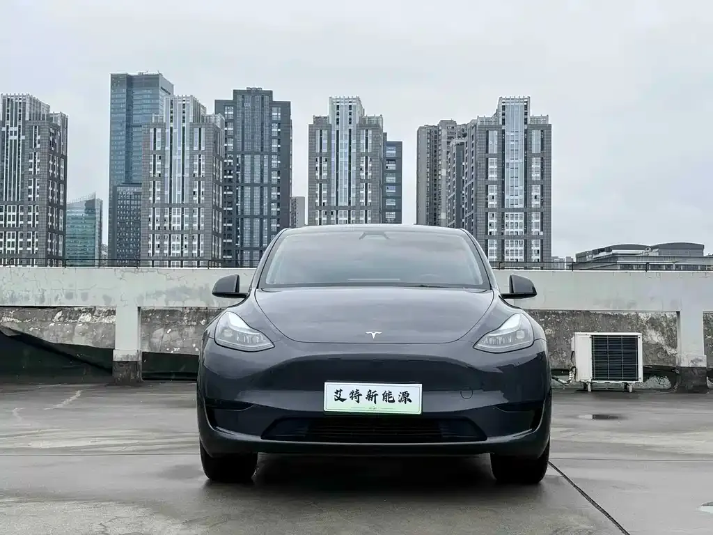 Tesla Model Y — фото 10