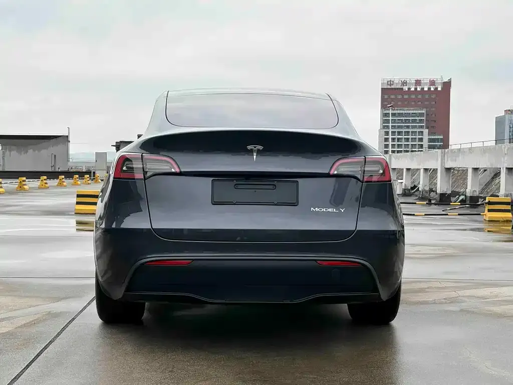 Tesla Model Y — фото 2