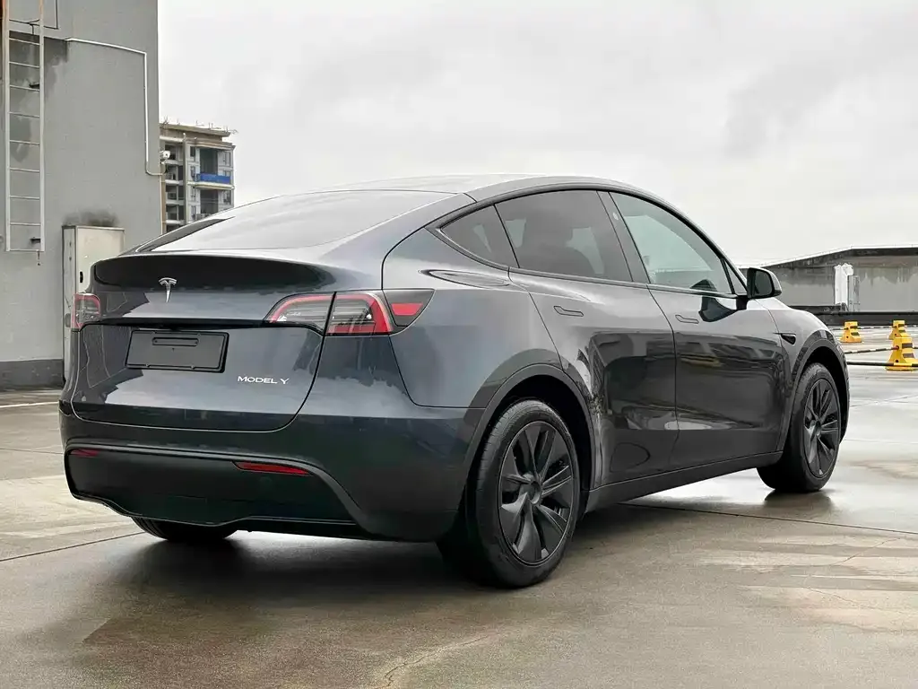 Tesla Model Y — фото 9