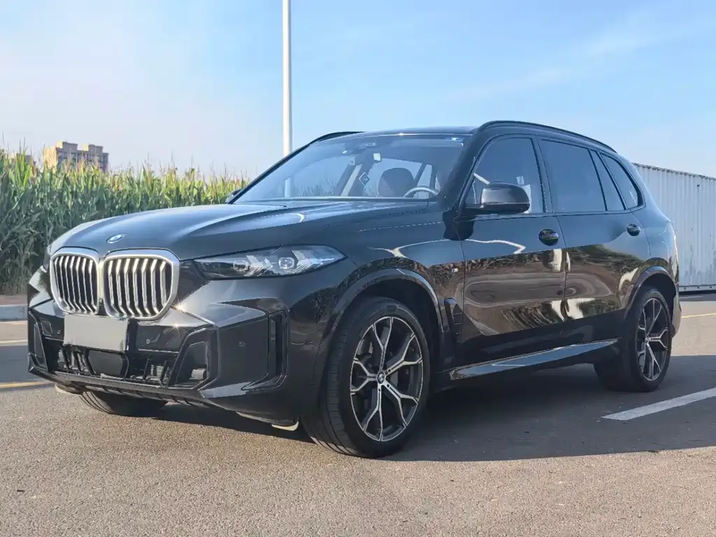 BMW X5 — фото 1