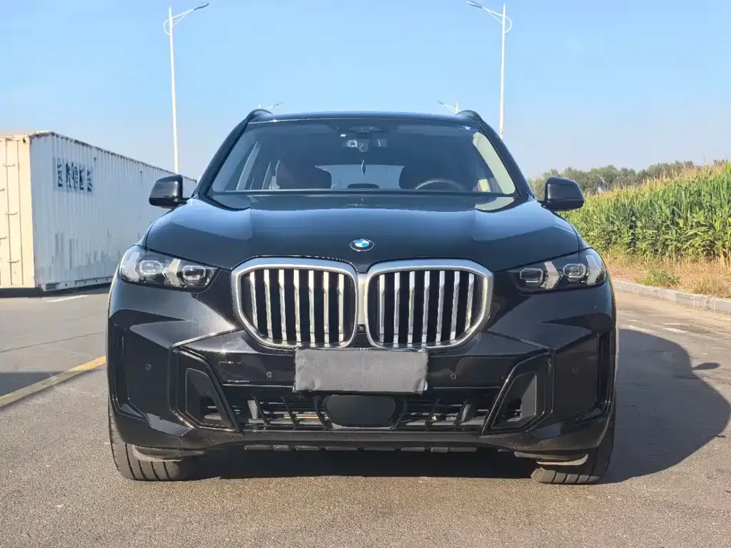 BMW X5 — фото 2