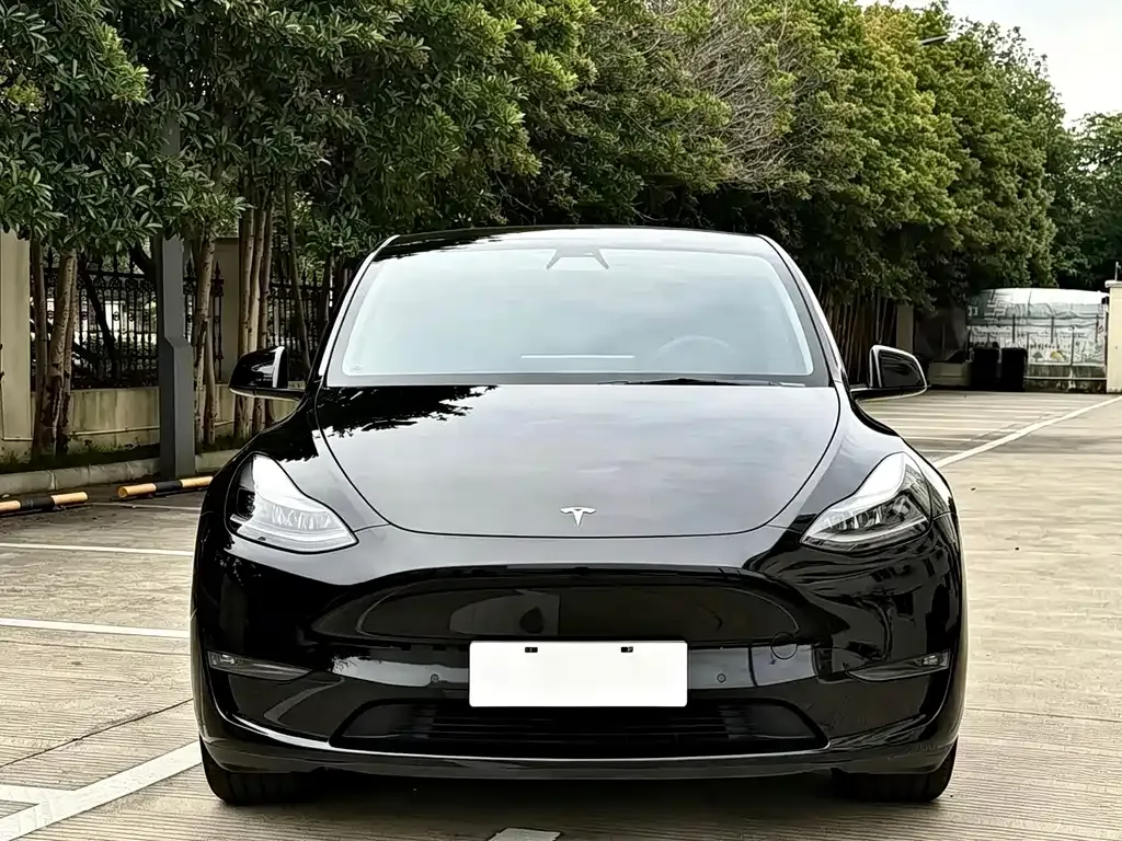 Tesla Model Y — фото 1