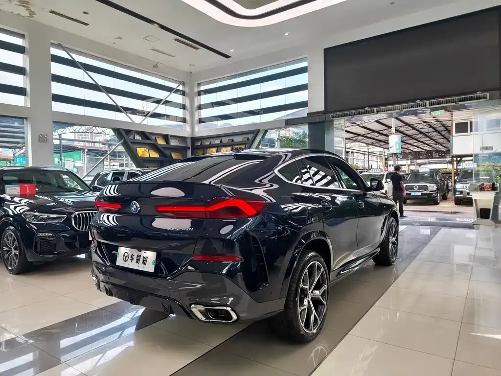 BMW X6 — фото 9