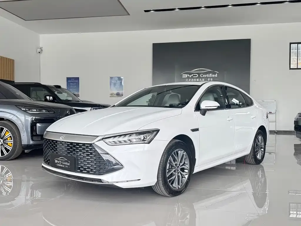 BYD Qin PLUS — фото 1
