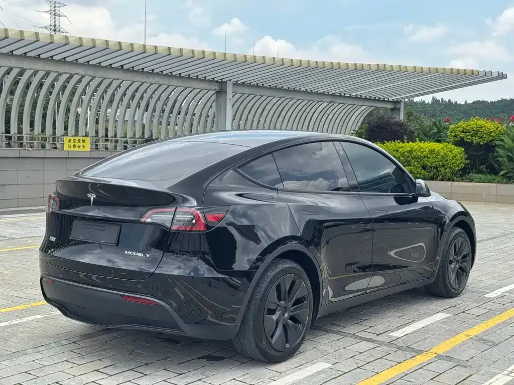 Tesla Model Y — фото 5
