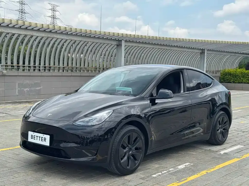 Tesla Model Y — фото 3
