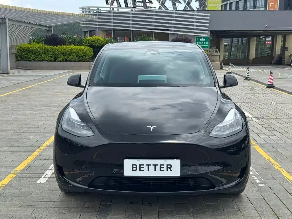 Tesla Model Y — фото 10