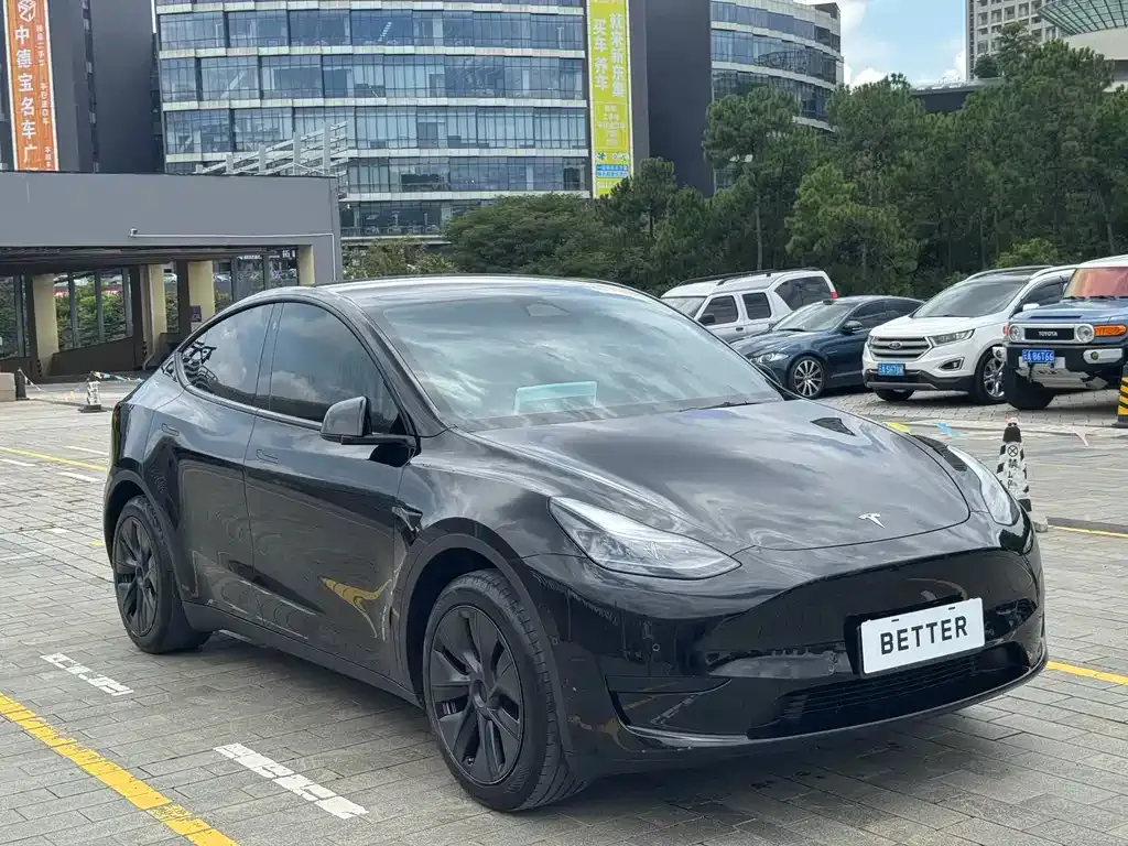 Tesla Model Y — фото 9