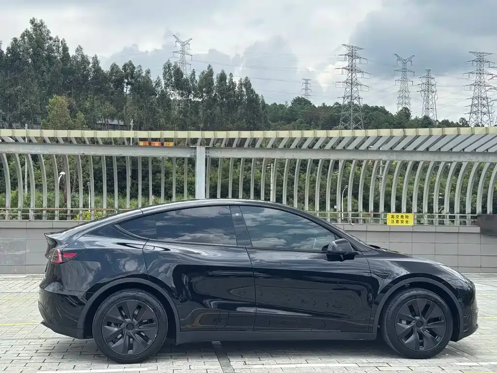 Tesla Model Y — фото 4