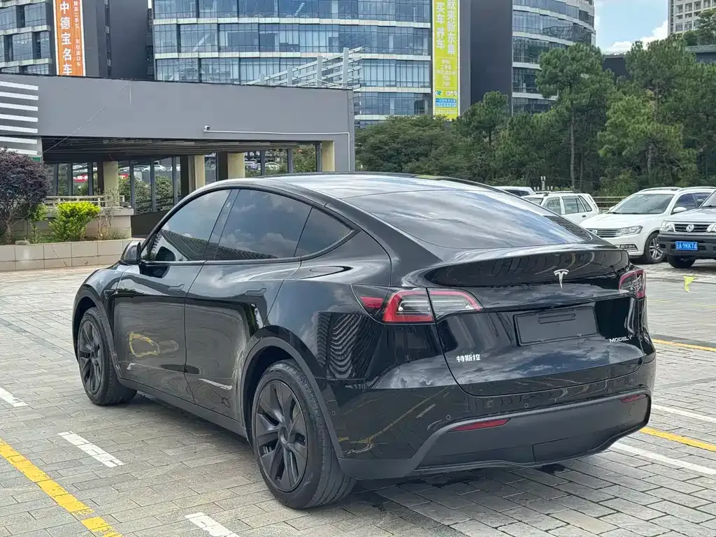 Tesla Model Y — фото 2