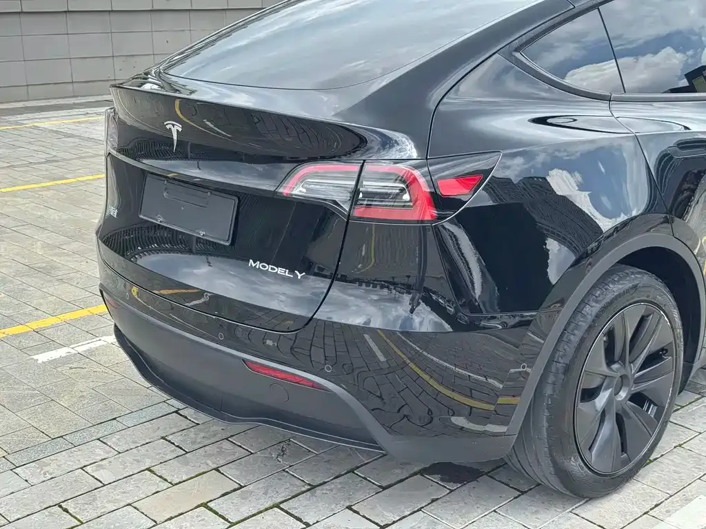 Tesla Model Y — фото 6