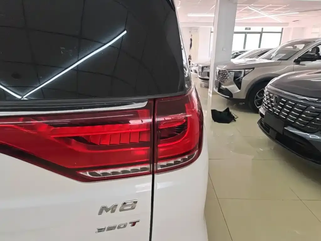 GAC Motor Trumpchi M8 — фото 9