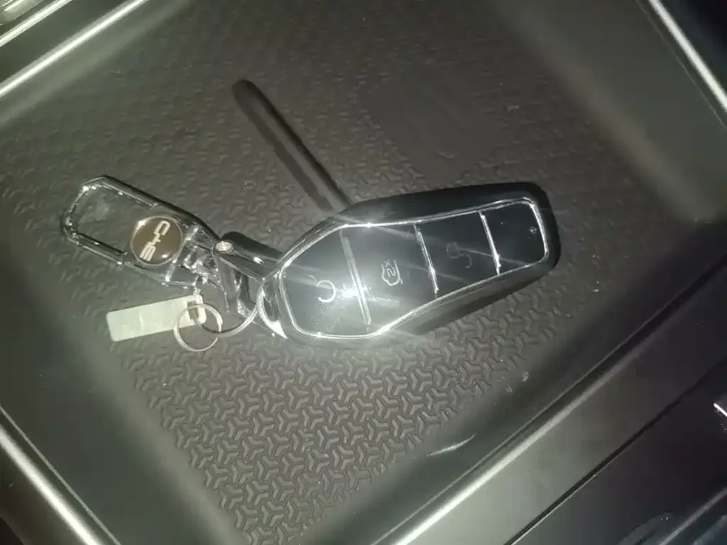 BYD Pro New Energy — фото 4