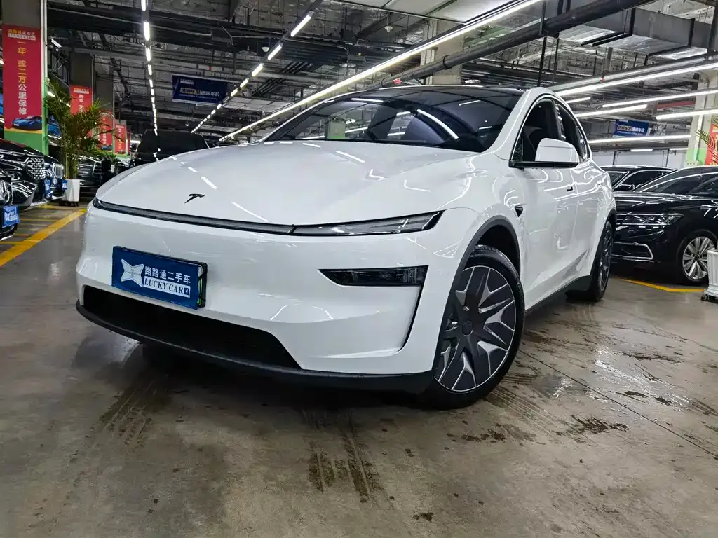Tesla Model Y L — фото 1