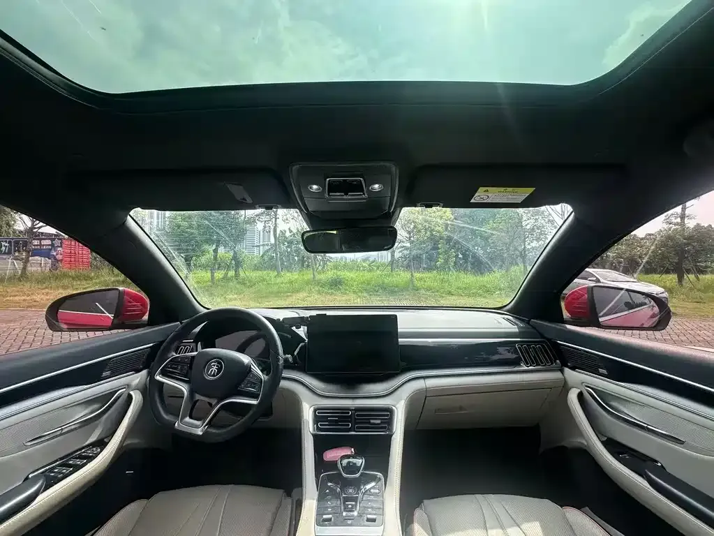 BYD PLUS New Energy — фото 10