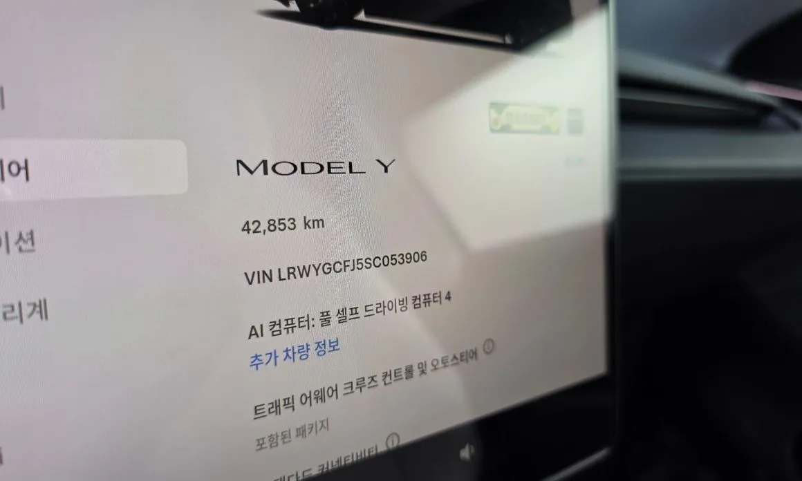 Tesla Model Y — фото 6