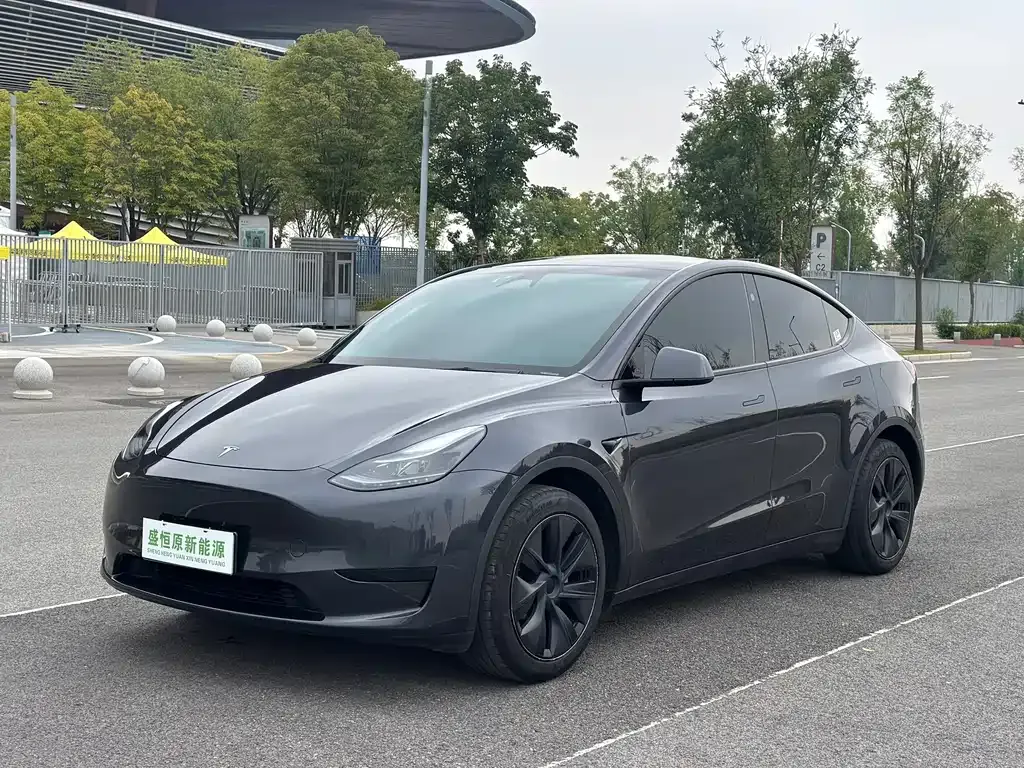 Tesla Model Y — фото 1