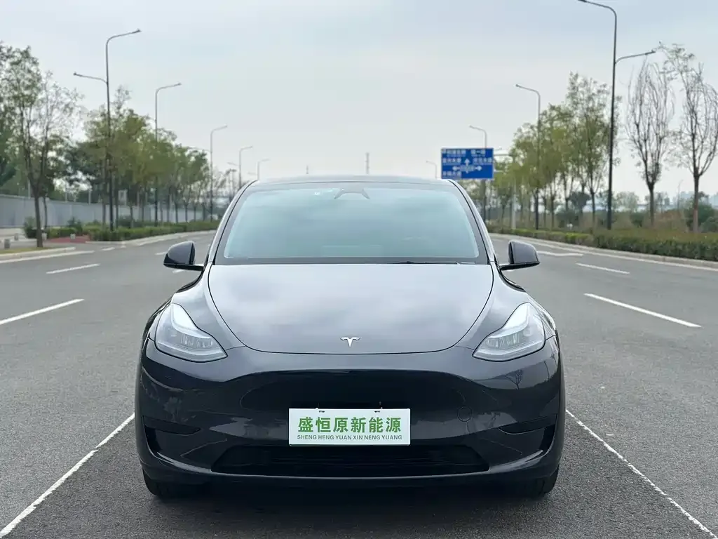 Tesla Model Y — фото 2