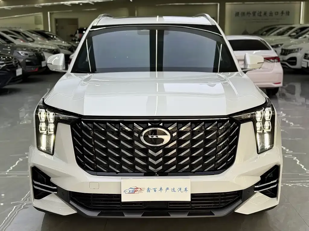 GAC Motor Trumpchi GS8 — фото 2