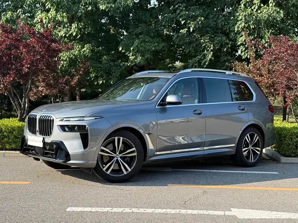 BMW X7 — фото 1