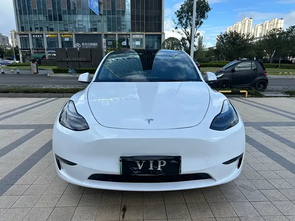 Tesla Model Y — фото 1