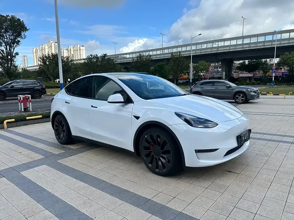 Tesla Model Y — фото 9