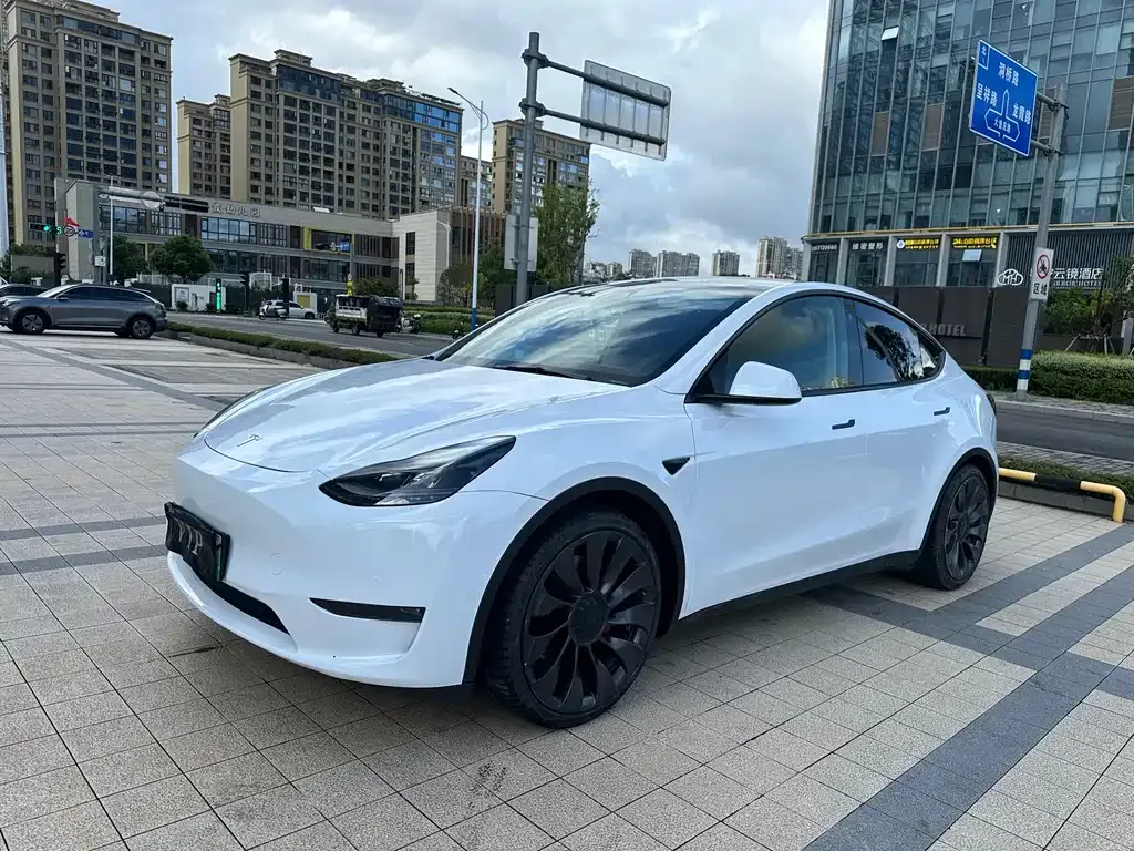 Tesla Model Y — фото 10