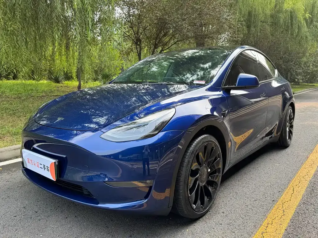 Tesla Model Y — фото 1