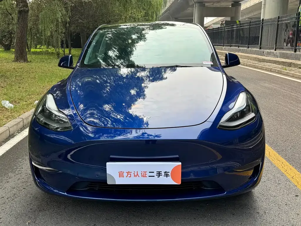 Tesla Model Y — фото 8