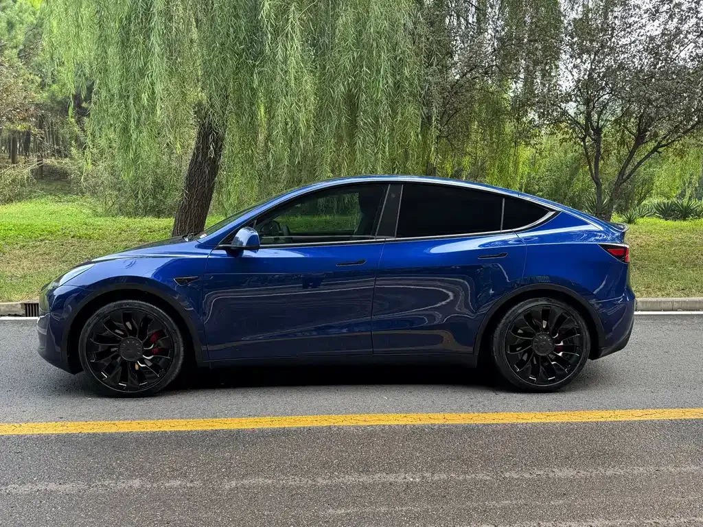 Tesla Model Y — фото 7