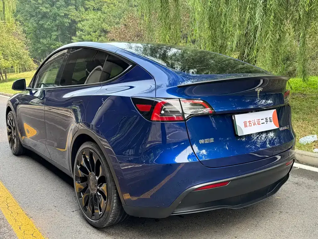 Tesla Model Y — фото 9
