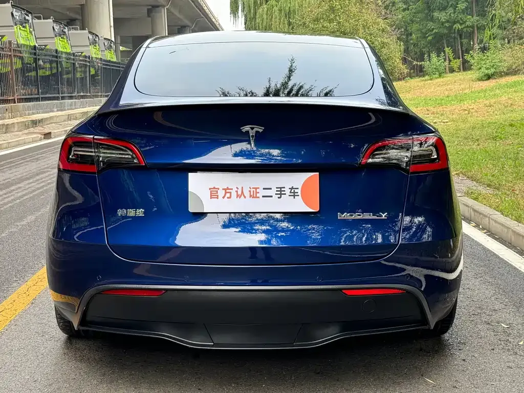 Tesla Model Y — фото 4