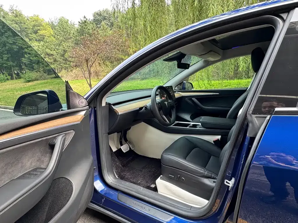 Tesla Model Y — фото 2
