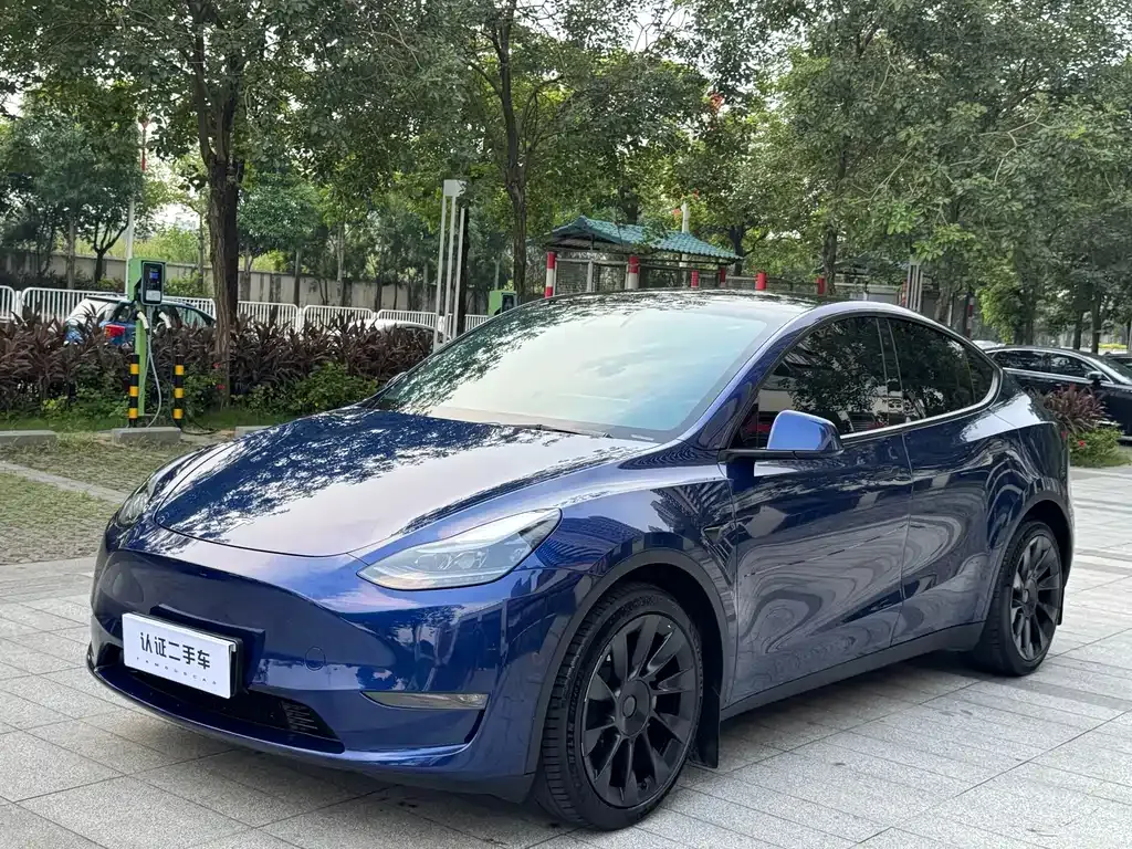 Tesla Model Y — фото 1