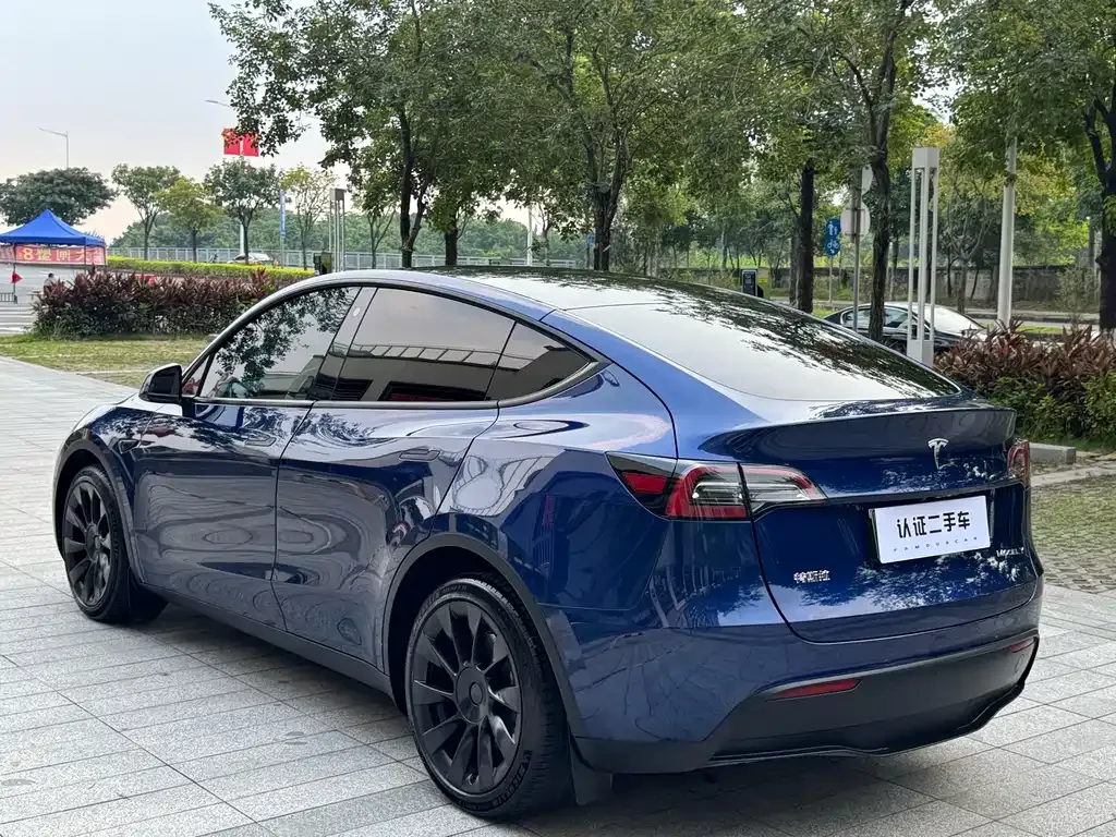 Tesla Model Y — фото 6
