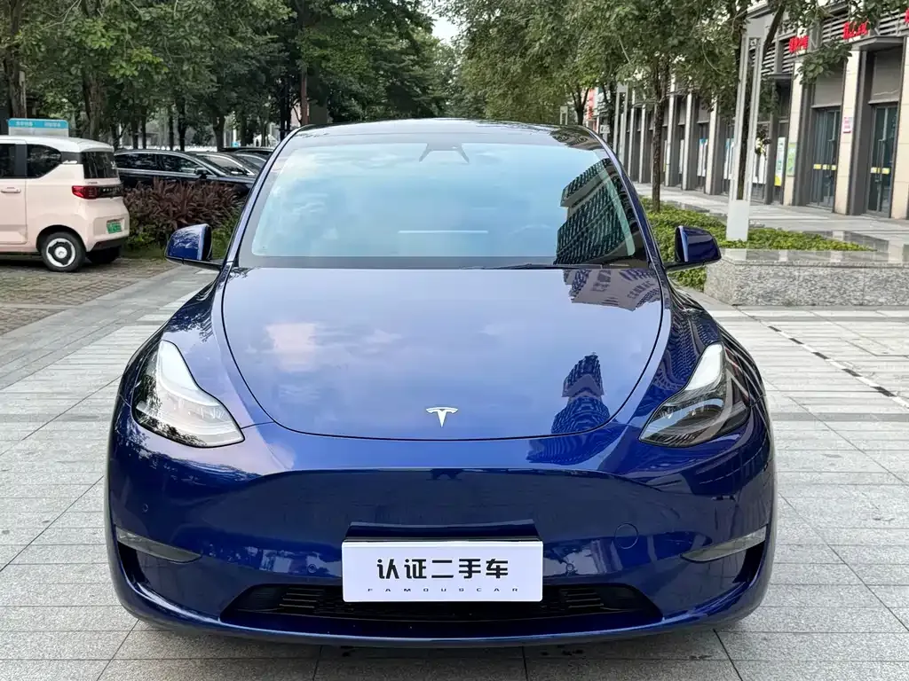 Tesla Model Y — фото 8