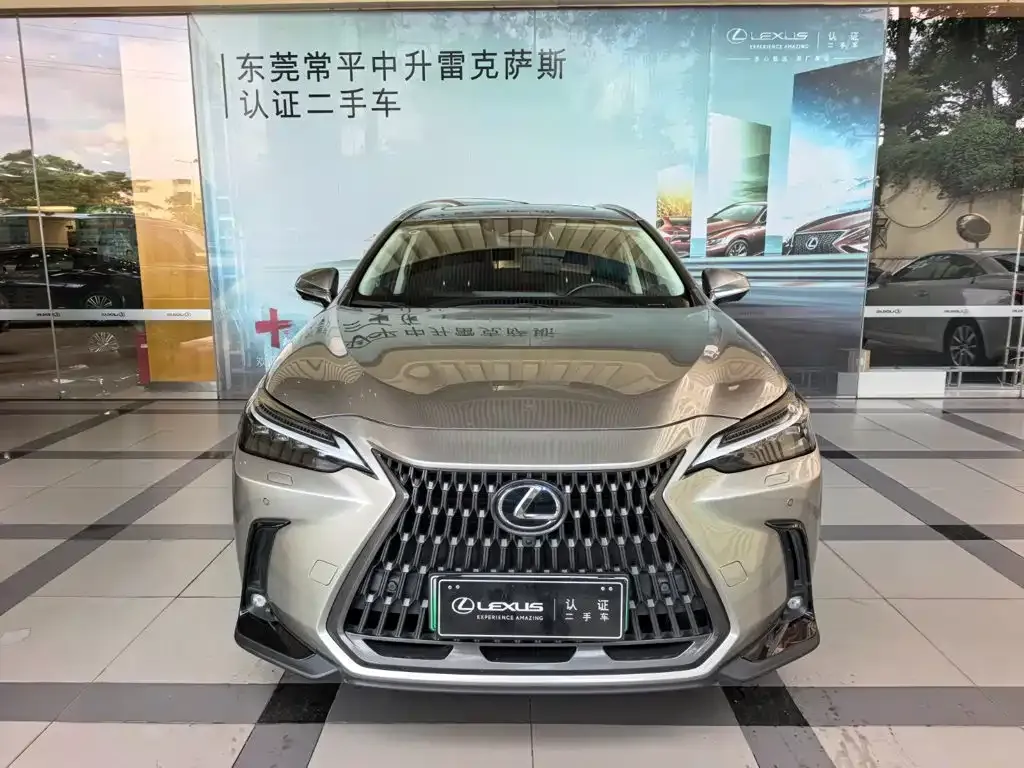 Lexus NX New Energy — фото 4