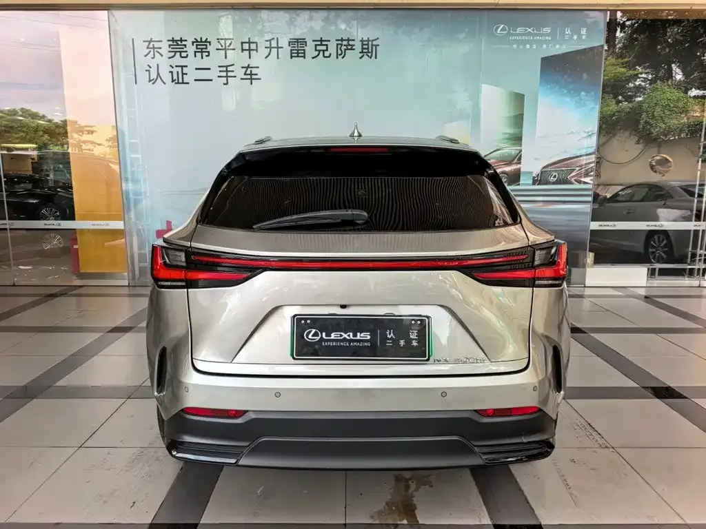 Lexus NX New Energy — фото 5