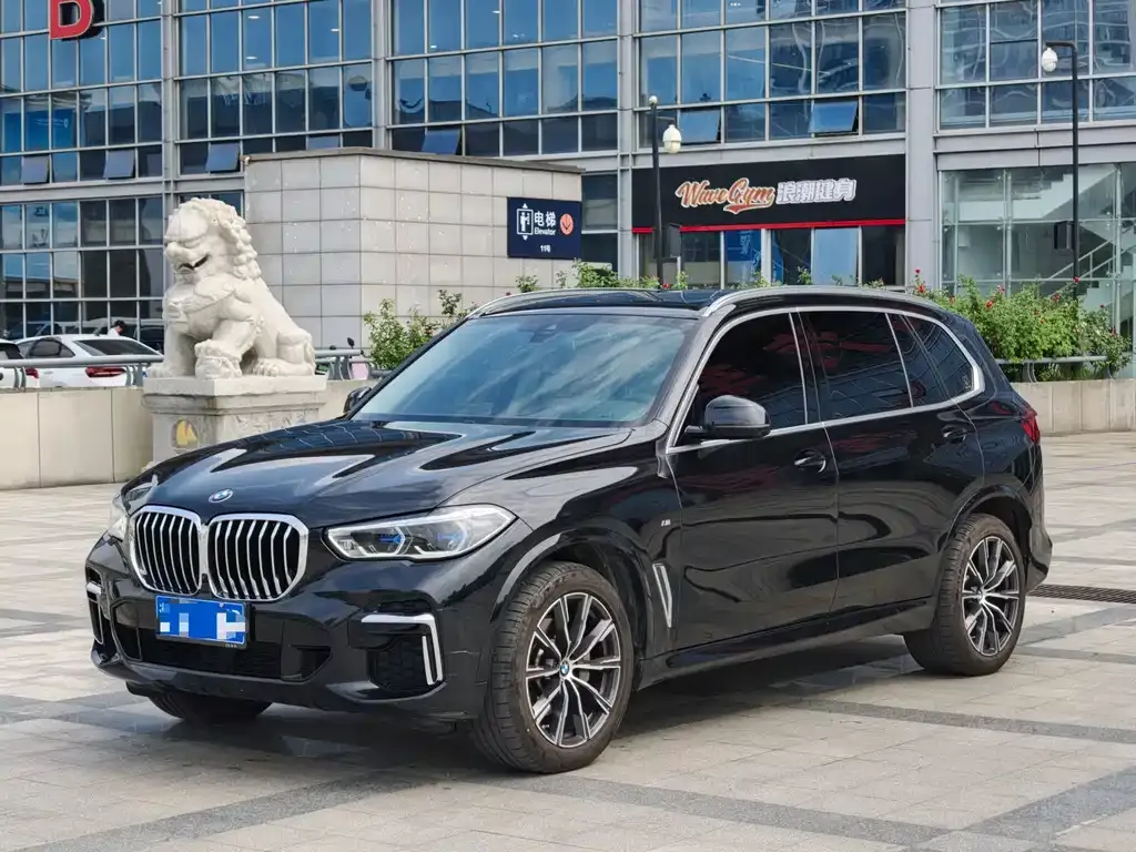 BMW X5 — фото 1